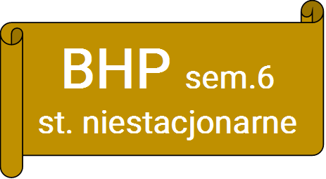 PRAKTYKA ZAWODOWA - BHP - 2023/24NS-L